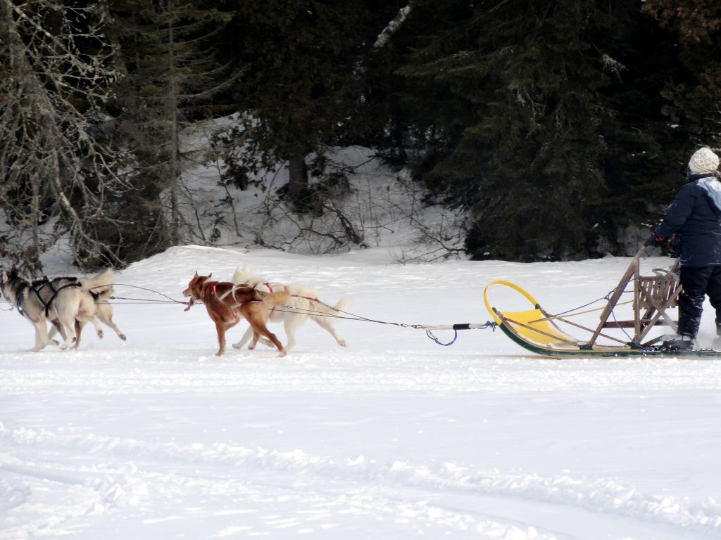 10 activités hivernales à faire en Mauricie