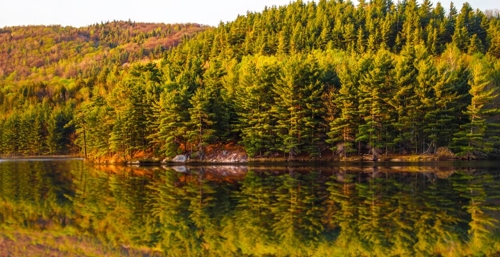 L’automne; ça se passe dans les Cantons-de-l’Est!