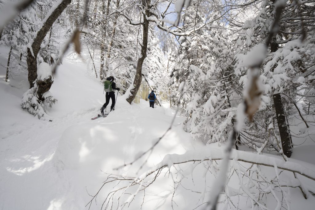 Connaissez-vous l’activité hivernale la plus populaire au Québec ?