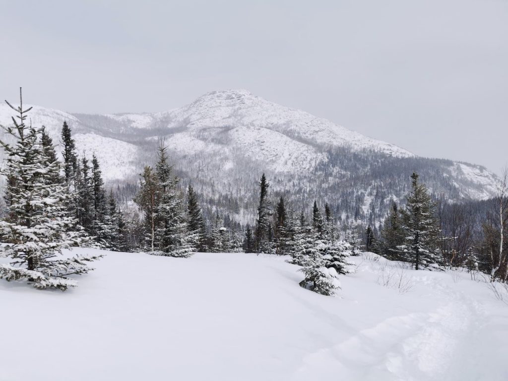 MontduLacdesCygnes Filles du Nord