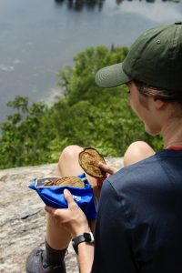 pancake épinard au sommet du montagne