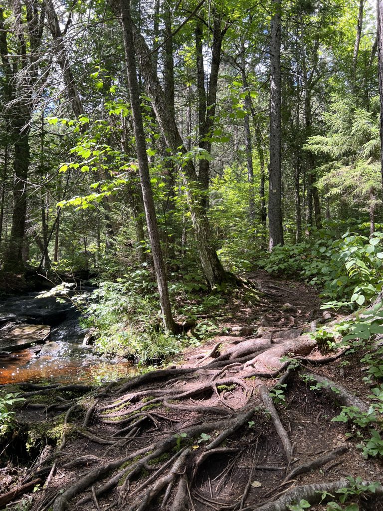 CapdelaFee Filles du Nord