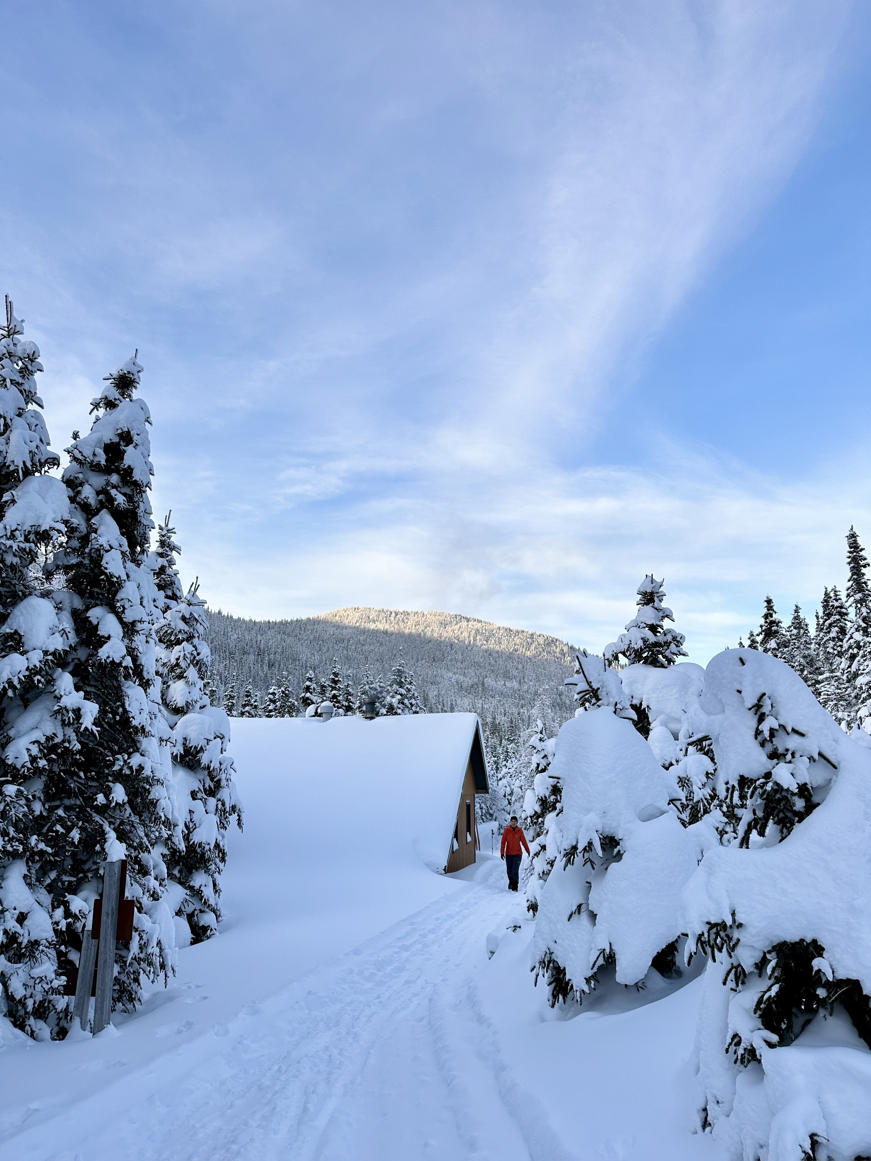 refuge - parc national gaspésie chablis