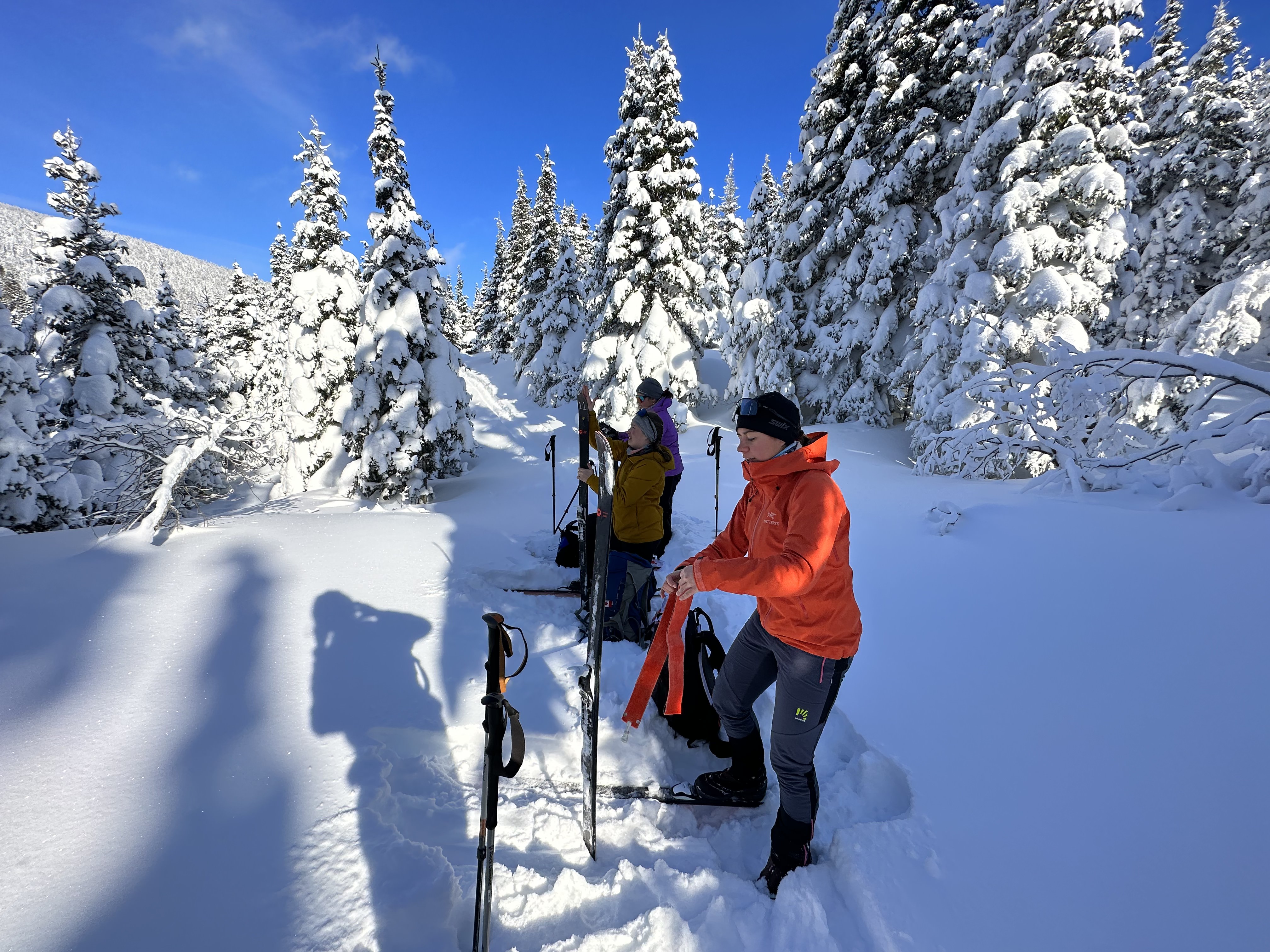 Ski nordique - installation peaux