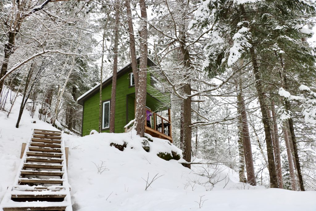 Refuge en forêt au sommet d'une montagne