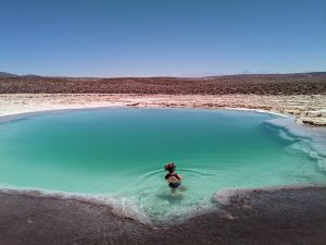Road trip au Chili,Ariane marchand, Femme-Nature