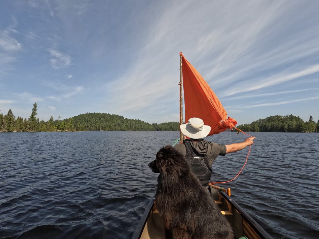 Un homme et un chien en canot-voile sur le lac Kipawa